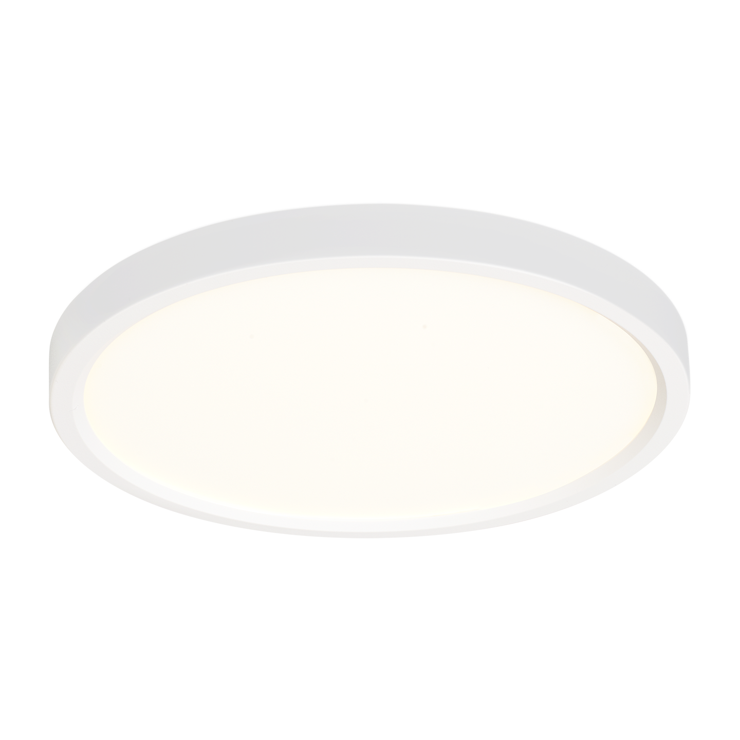 Traverse - Round 7", WH White Bulbs Inc