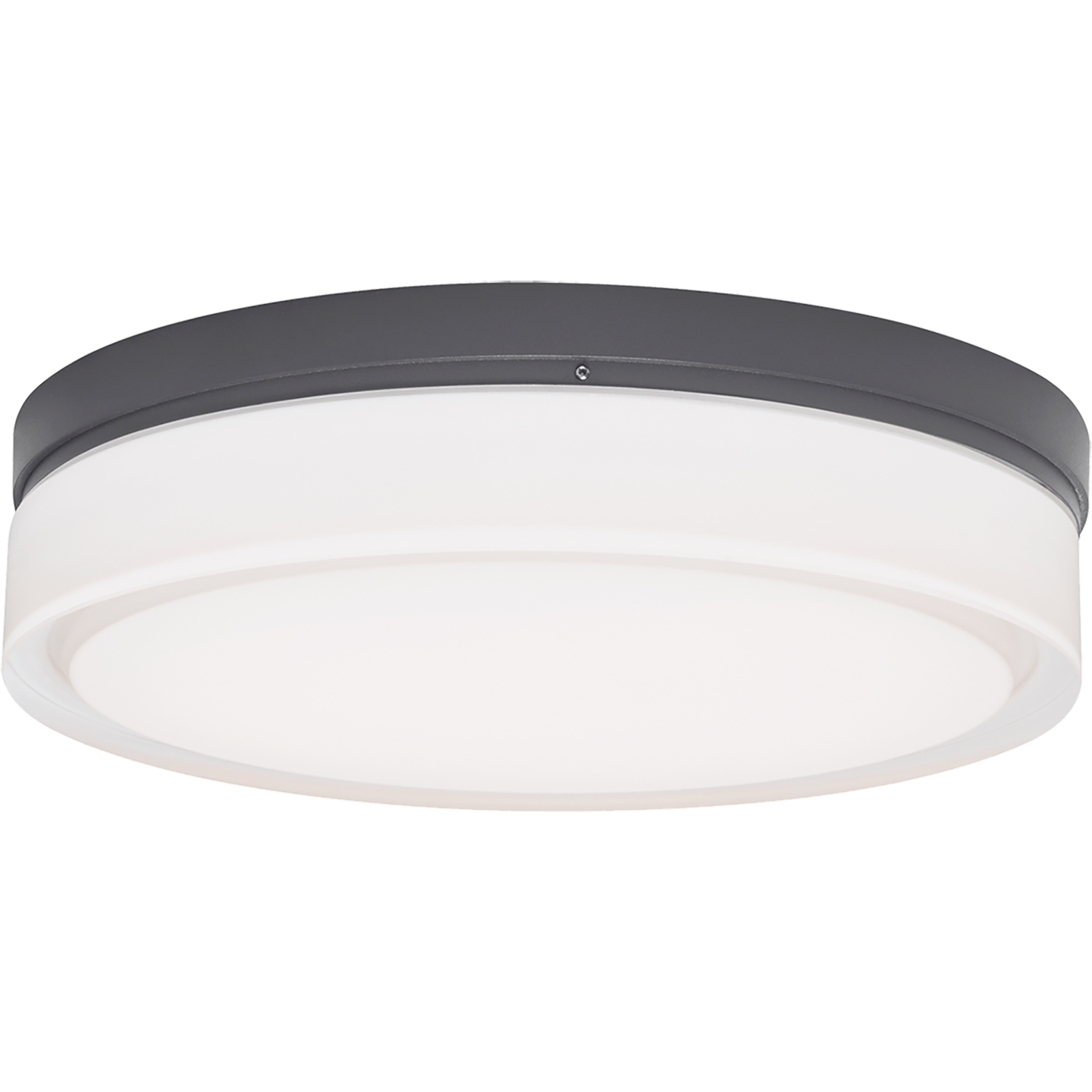 Cirque Large Outdoor Wall/Flush Mount Large charcoal 3000K INC