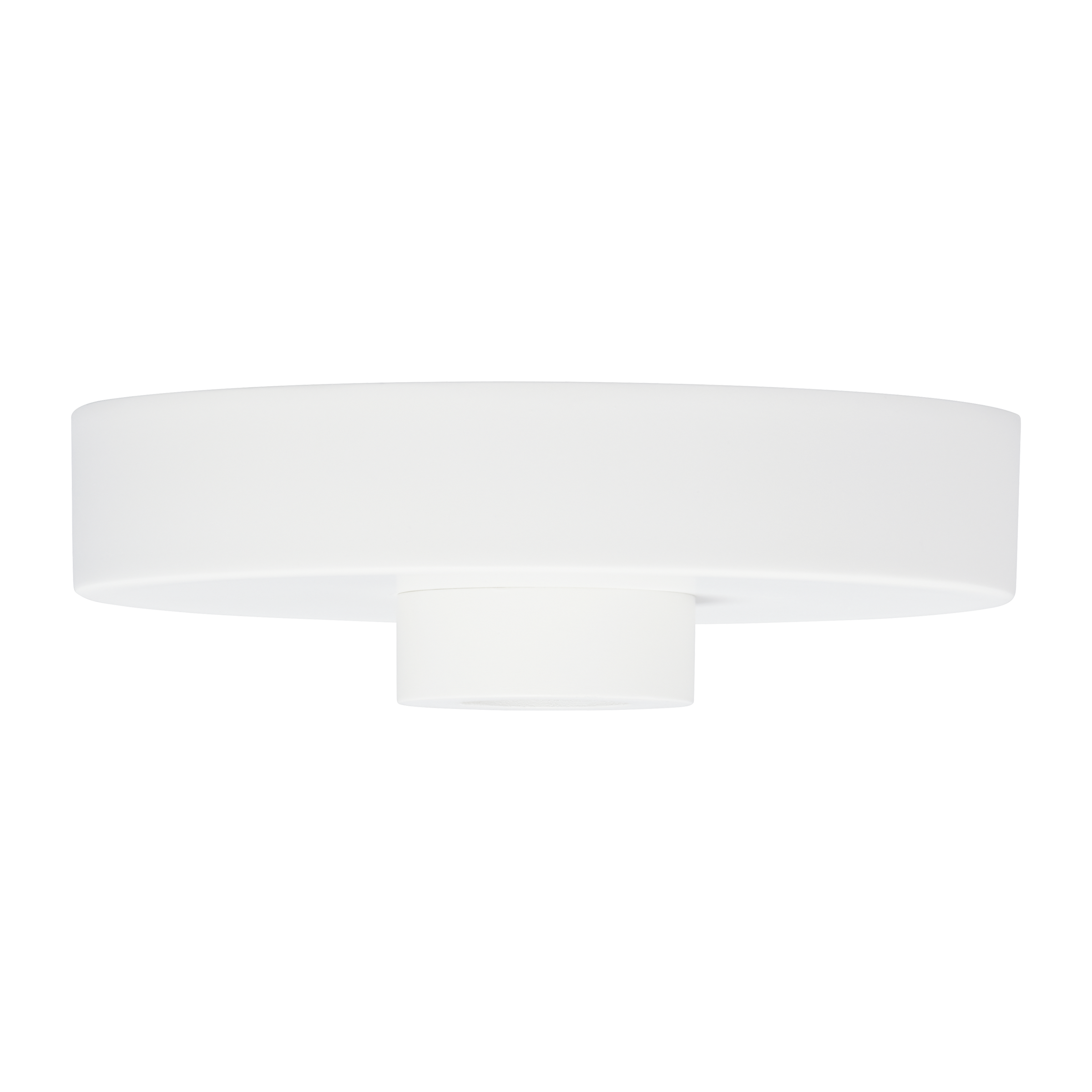 Line-Voltage Shallow Canopy matte White