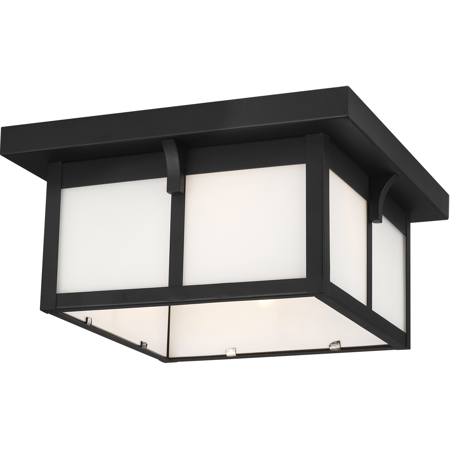 Tomek 2-Light Flush Mount in Black with Etched Glass / White Inside Bulb(s) Included