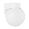 One Light Lantern White Bulbs Inc