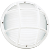 Bayside One Light Outdoor Wall / Ceiling Mount White Bulbs Inc