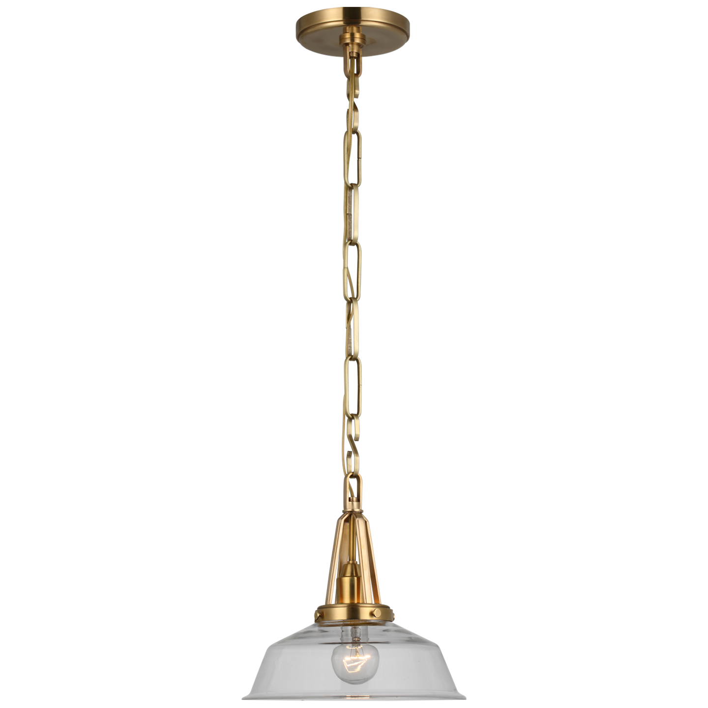 Layton 10" Pendant in Antique-Burnished Brass with Clear Glass  Open Box