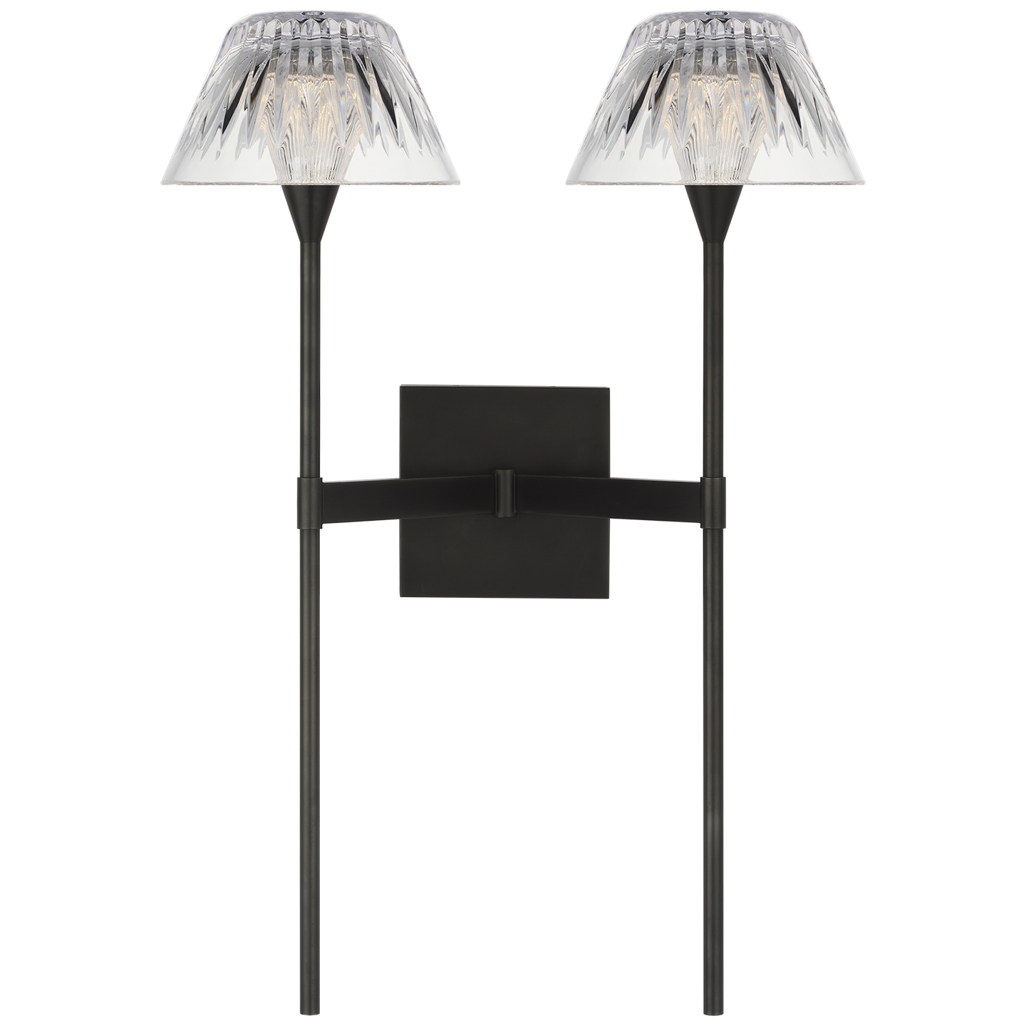 Blaze 19" 2 Light Tail Sconce