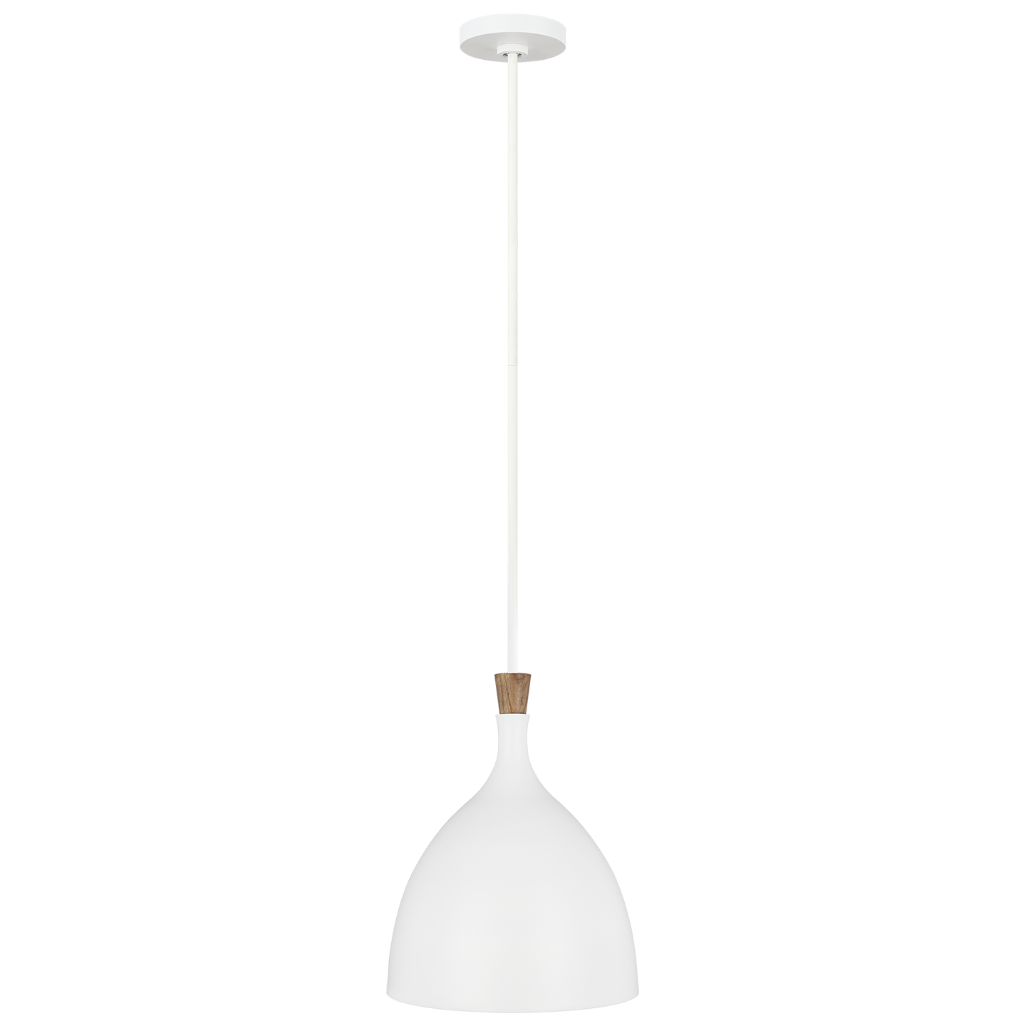 Darwin Medium Pendant Matte White