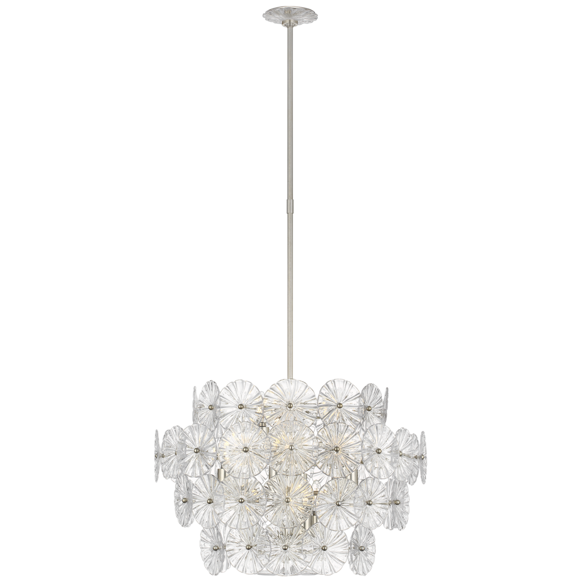 Gianna 24" Chandelier in Burnished Silver Leaf with Clear Glass