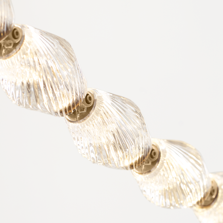 Application Image 12