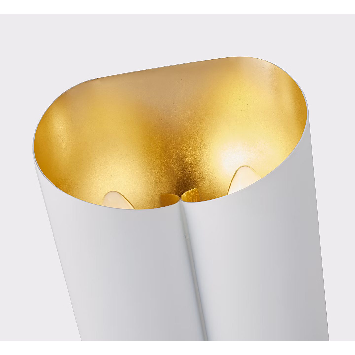 VCS_ARN_ARN2036PW_D1 Top.tif